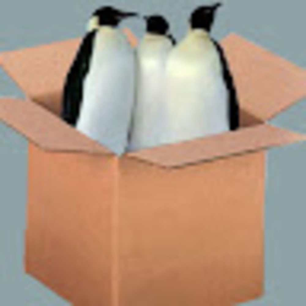 Meet your Posher, Penguinboxplays